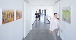 Studio Kauffelt Fotografie