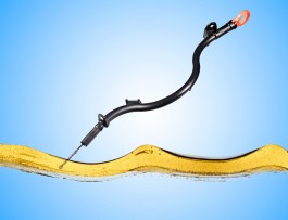 Studio Kauffelt Fotografie